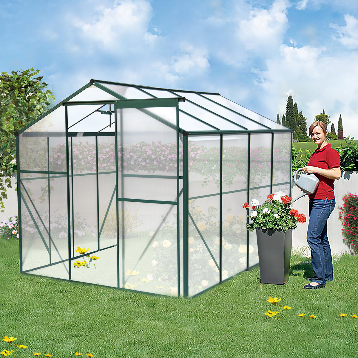 6'x 8' Heavy Duty Walk-in Plant Garden Greenhouse for Backyard/Outdoor